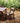 Sealed Teak / Atacama Pattern