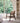 Coffee Teak / Pearl Lagoon Pattern