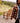Sealed Teak